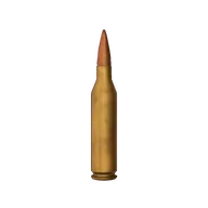 Ammo 243WIN