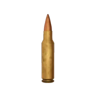 Ammo 68 spc
