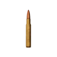Ammo 30-06