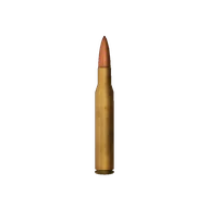 Ammo 270WIN